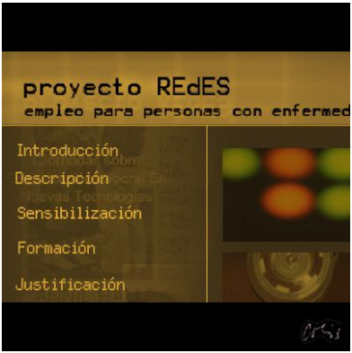 Mi trabajo en el Proyecto REdES