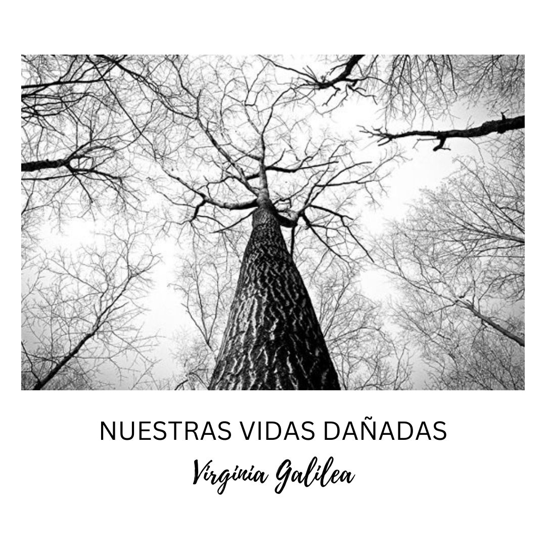 Nuestras vidas dañadas.