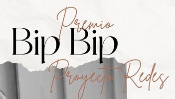 I Premio Solidaridad y Tecnología de la Fundación Bip Bip 2004