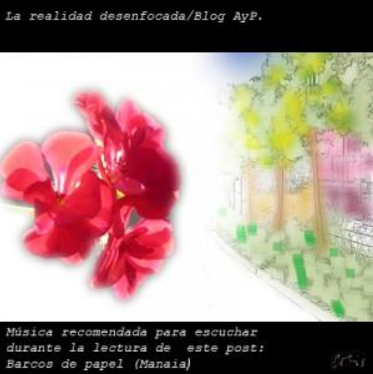 La turbia realidad, el engaño de los sentidos y las verdades a medias